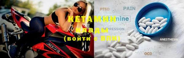 трава Коряжма