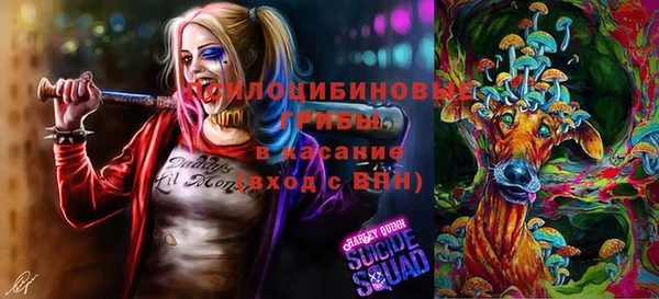 гидропоника Козловка